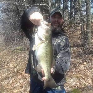 Meet your Posher, George